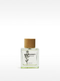 Perfume Primavera Verano 25 - Colección Parfois
