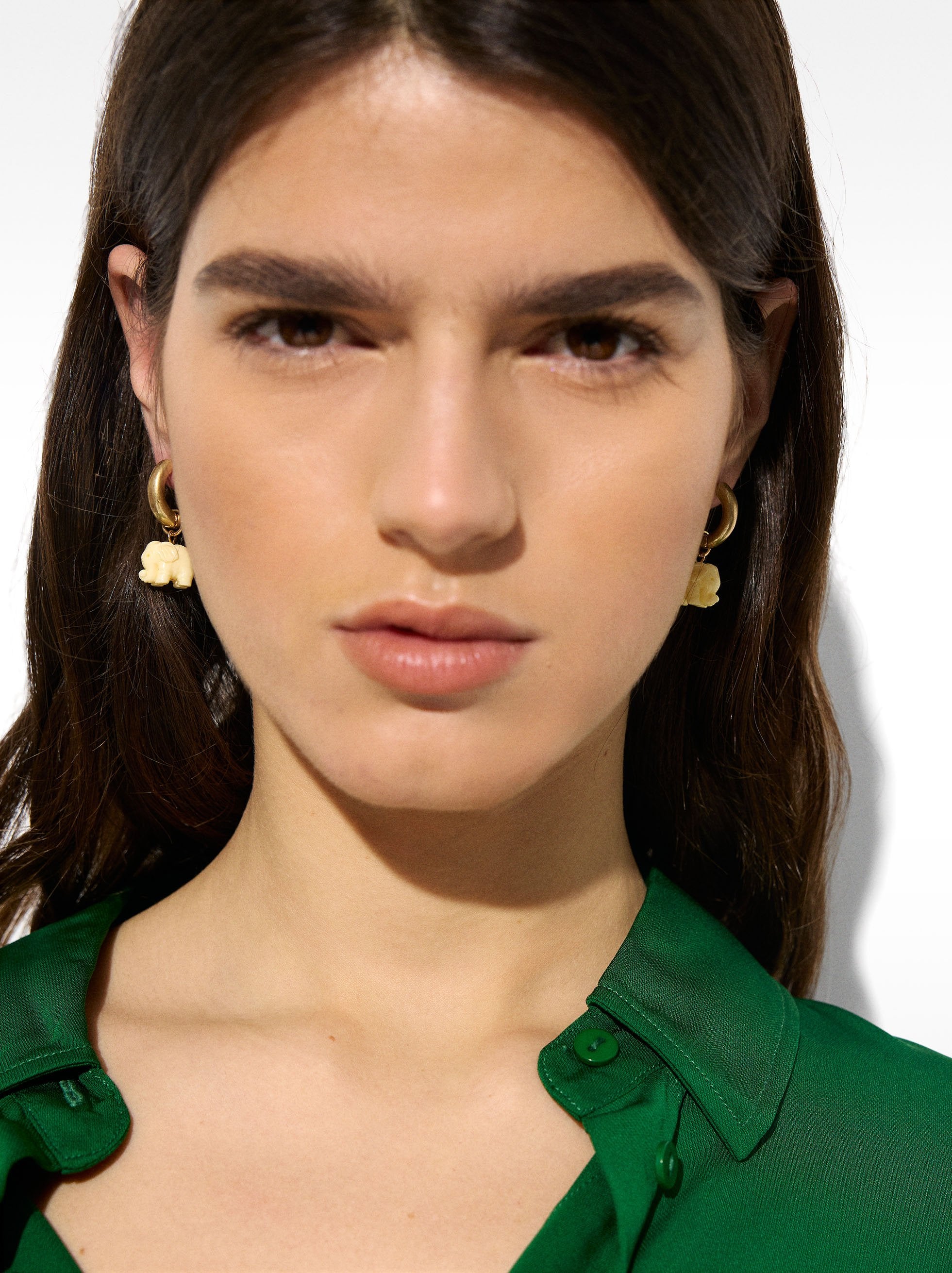 Aros Con Elefante