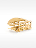 Pinza De Pelo Dorada