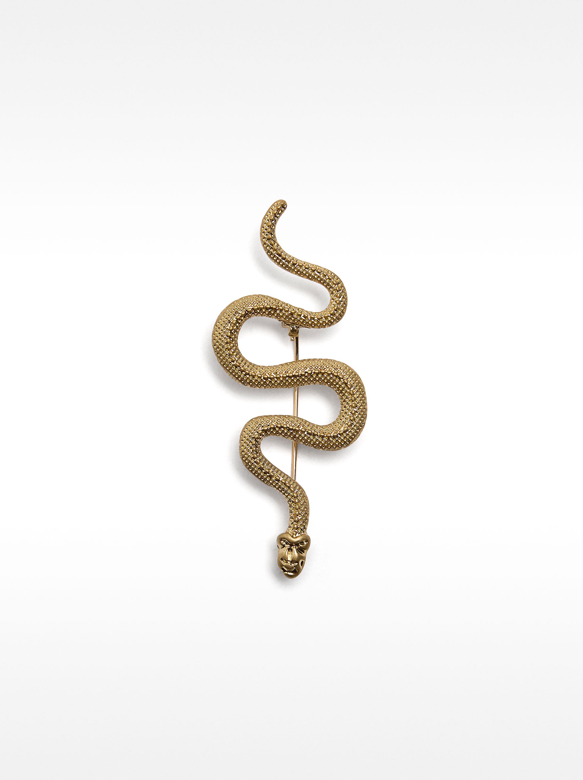 Broche De Serpiente