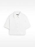 Camisa 100% Algodón Con Estampado De Palmeras