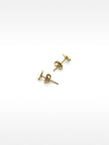 Set De Collar Con Pendientes De Estrella De Mar – Acero Inoxidable