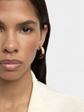 Aros Abiertos Efecto Carey