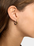 Aros Bicolor - Acero Inoxidable