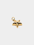 Charm De Estrella - Acero Inoxidable