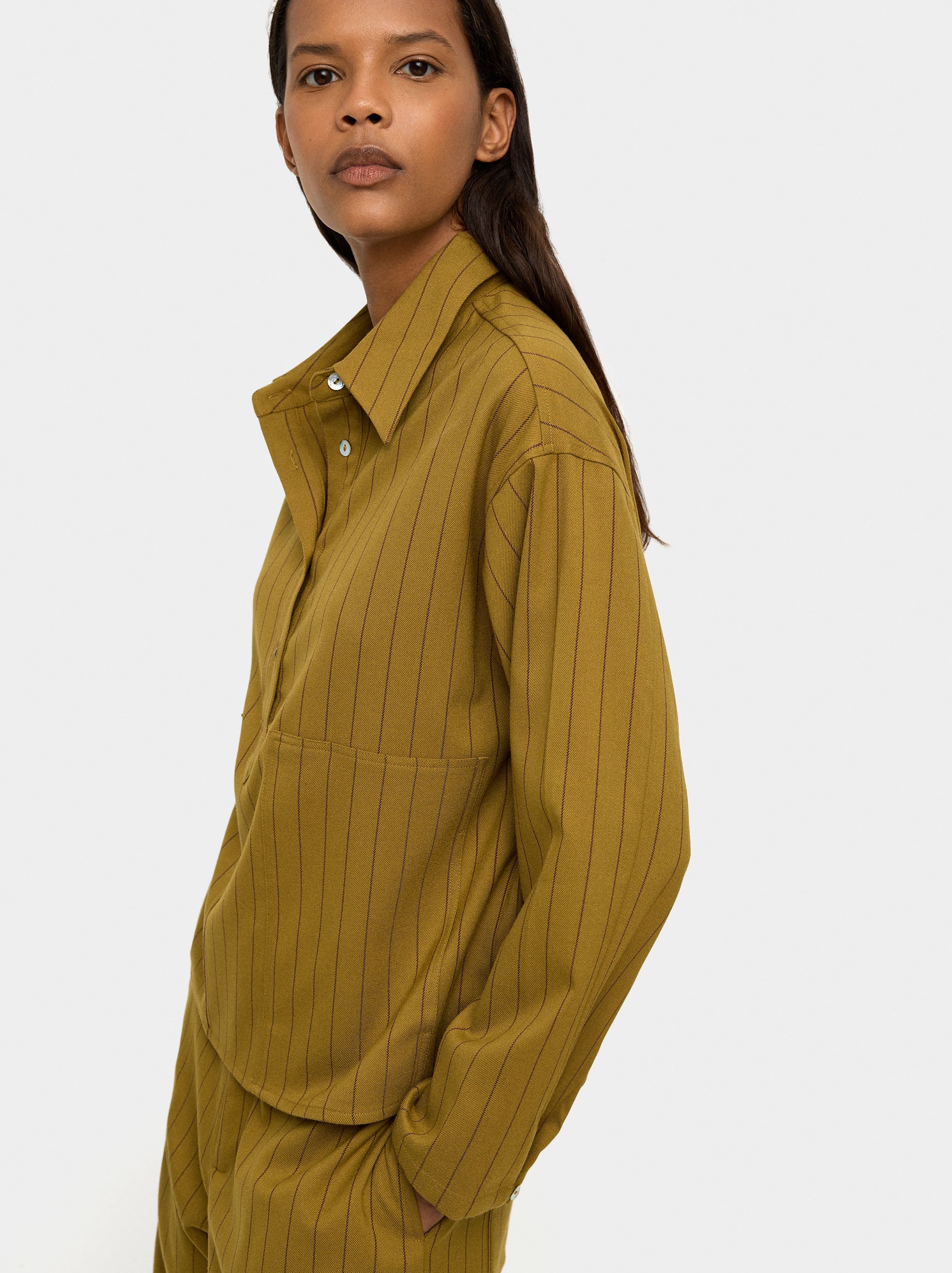 Camisa Con Raya Diplomática