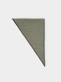 Pañuelo Triangular Estampado