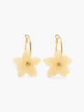 Aros Con Flores Dobles