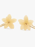 Aros Con Flores Dobles