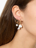 Set De Aros Con Conchas