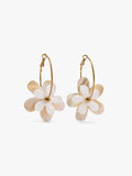 Aros Con Flor De Conchas